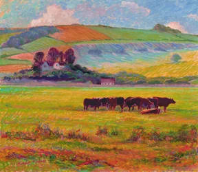 Abendliche Rinder, Cuckmere Valley, Sussex